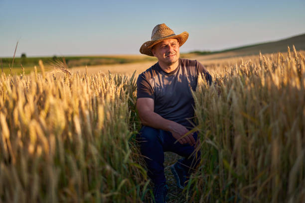 istock Happy farmer in a wheat field 1410648187