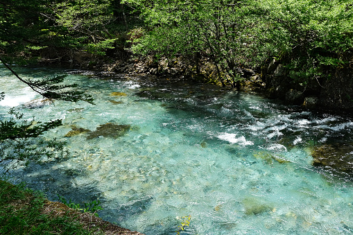 Clear stream of Azusa River, Kamikochi June