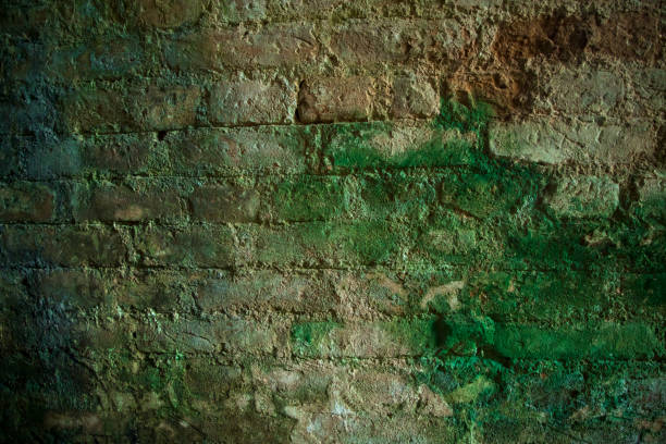 istock Fungi Green moss on the old brick wall has an abstract background texture 1410651789
