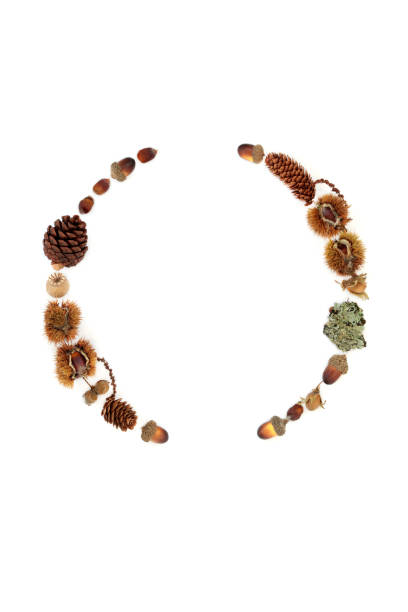 istock Autumn and Thanksgiving Abstract Nature Wreath 1410657677