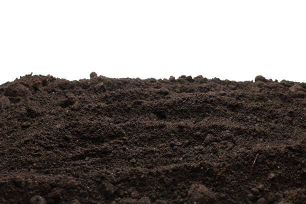 istock Black land for plant isolated on white background. 1410658595