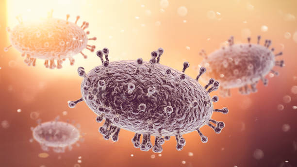Monkeypox, smallpox. Virus seen under the microscope.  Spread of the virus stock photo