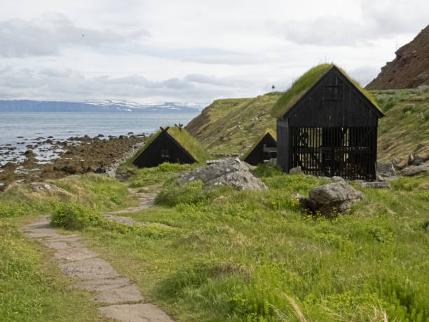 istock Turf roofed houses 1410661222