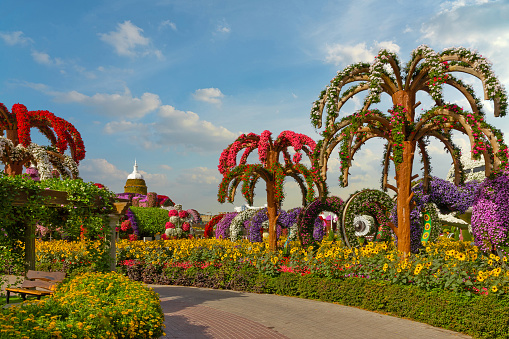Dubai, United Arab Emirates - March 20, 2022: Decorated floral palms in Miracle garden of Dubai.