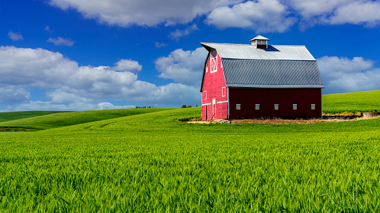 Classic red barn with green wheat field on a cloudy day