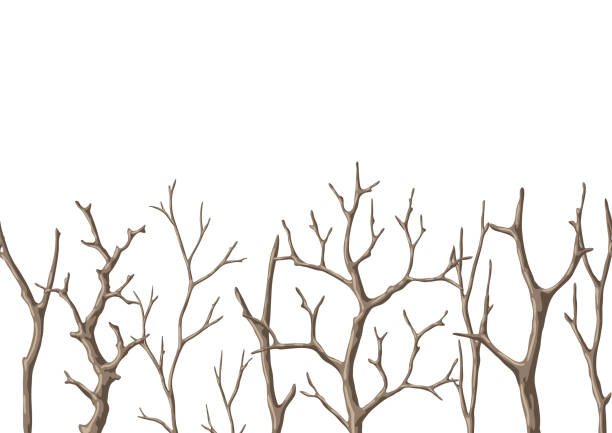 nahtloses muster mit trockenen nackten zweigen. dekorative naturzweige. - bare tree nature backgrounds tree trunk branch stock-grafiken, -clipart, -cartoons und -symbole