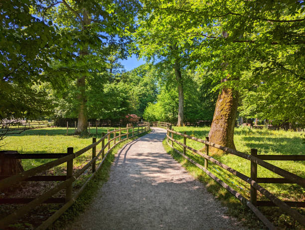 Footpath through the animal Park of Sauvabelin near L'Hermitage in Lausanne Vaud Switzerland stock photo