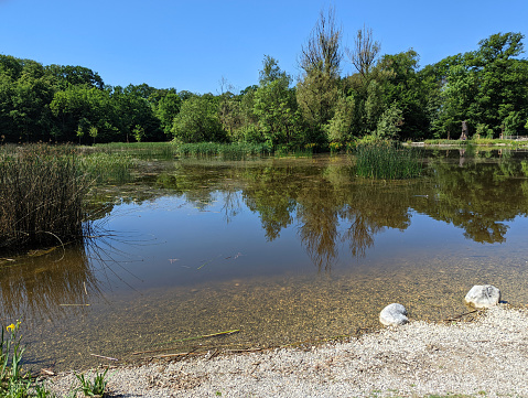 Pond in the animal Park of Sauvabelin near L'Hermitage in Lausanne Vaud Switzerland