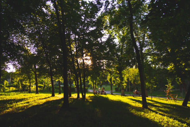 istock Beautiful sunset garden, great design for any purposes. Bright environment. 1410669477