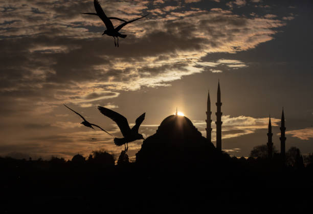 Seagulls fly over the Suleymaniye Mosque at sunset