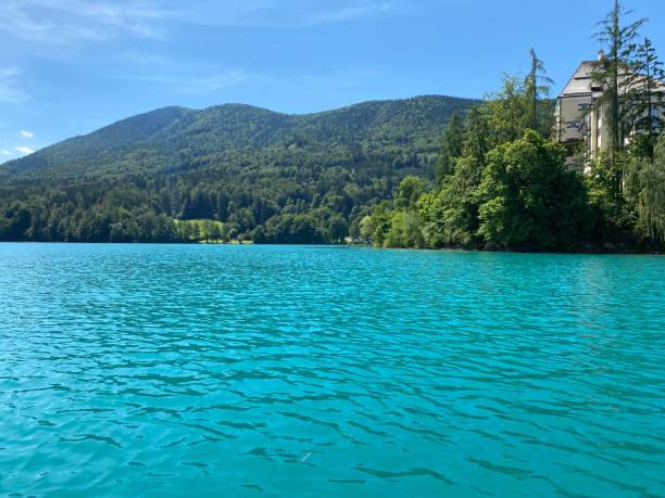 istock Lake Fuschlsee in summer 1410669818