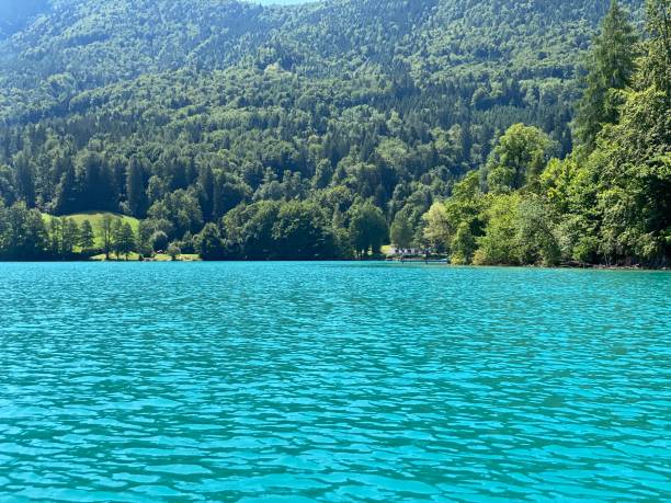 istock Lake Fuschlsee in summer 1410669872