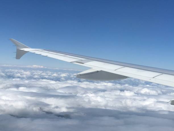 istock Travel adventures 1410671060