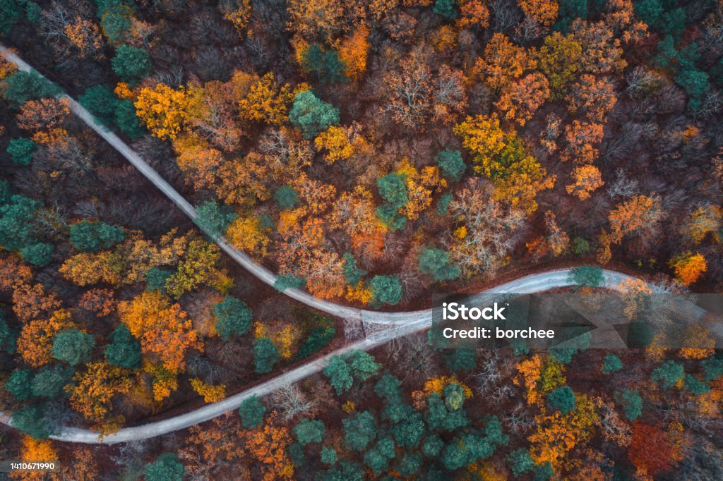 Autumn Road Aerial view on country road through the mixed forest in autumn colours. Footpath Stock Photo