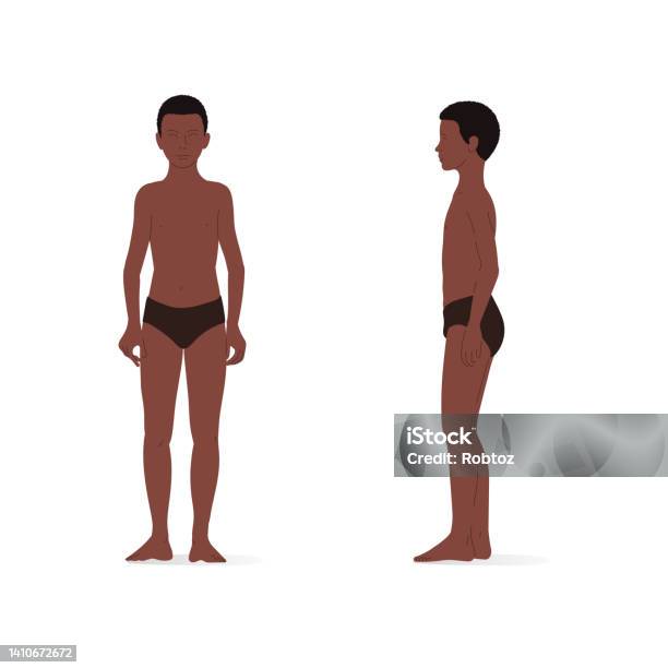 Set Male Body Shape Types Five: vetor stock (livre de direitos) 741156757