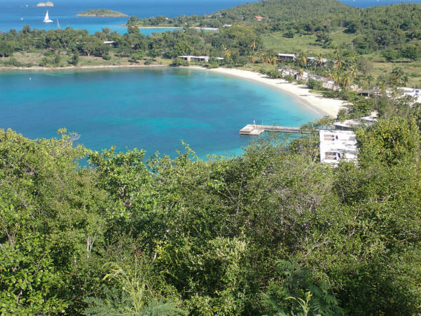 caneel bay, st. john, usvi - caneel bay zdjęcia i obrazy z banku zdjęć