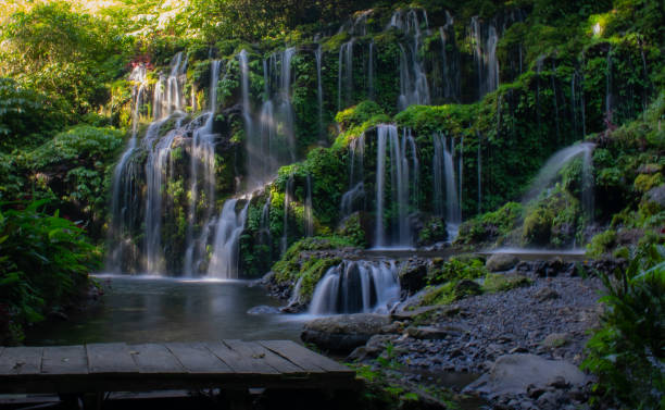istock Banyu Wana Waterfall | Bali | Indonesia 1410674653