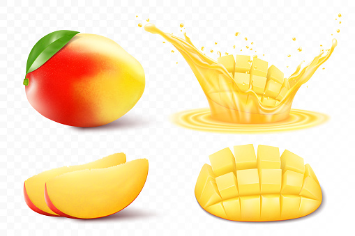Set of fresh whole, half, cut slice mango fruits and mango in a splash of juice, isolated on white background. Summer fruits for a healthy lifestyle. organic fruit. Realistic 3d Vector illustration.