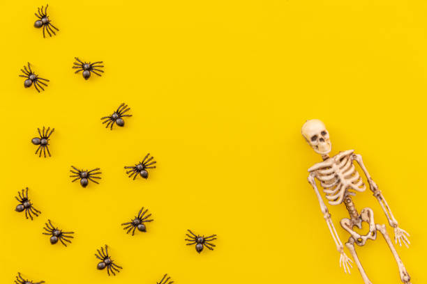 istock Halloween minimal decorations, composition with many black spiders and skeleton isolated on yellow background. Halloween celebration trick or treat concept. Flat lay top view copy space. 1410678517