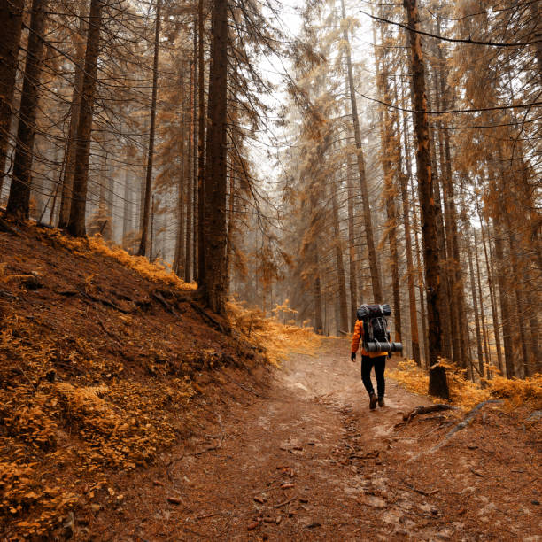 istock Tourist hike with large backpacks in the Carpathians. 1410682948