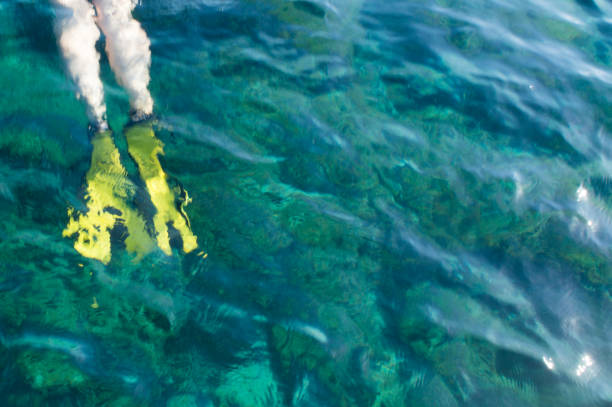 Woman with yellow flippers diving under the beautiful turquoise sea water