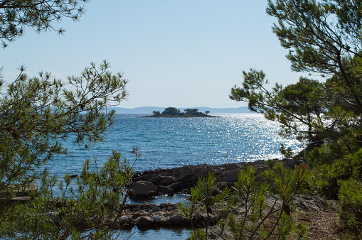 Tranquil hidden paradise in Dalmatia archipelago, summer vacation in Croatia, view through the pine trees