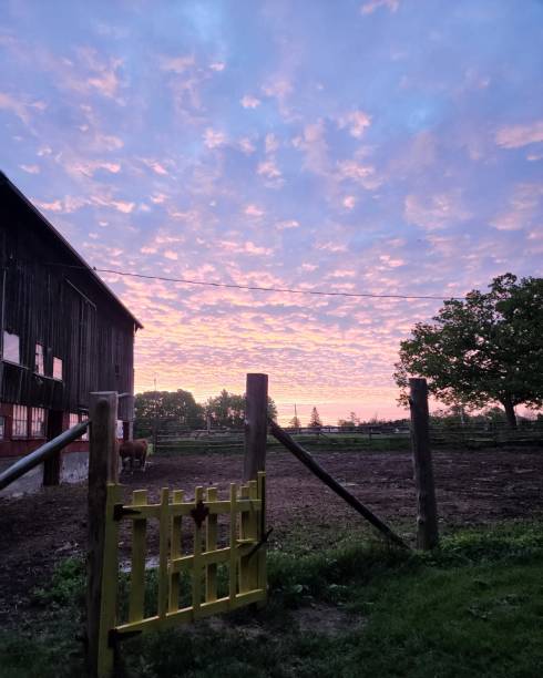 istock Sunrise on Cochrane Farm 1410684409