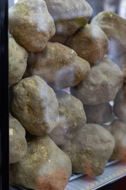 istock Dozens of Expensive Truffles Inside a Transparent Container 1410686750