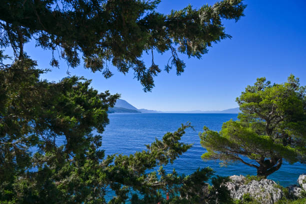 View of the Dalmatian and Croatian coastline through a pine forest seen from Drvenik stock photo
