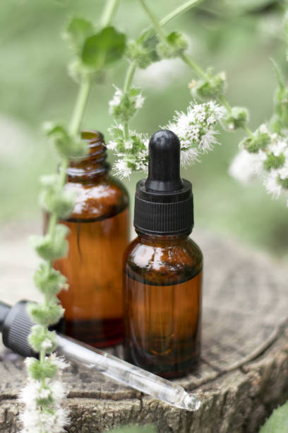 istock Amber glass dropper bottles different sizes on a tree stump. Natural cosmetics, serum with floral extracts for skin care. 1410690612