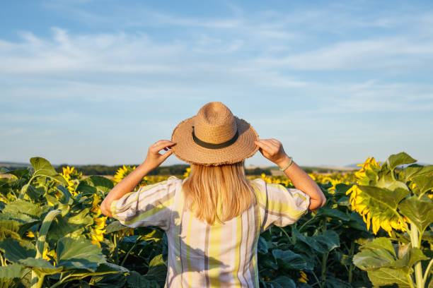 istock Woman with straw hat standing in sunflower field 1410691447