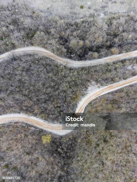 Topdown View Of Two Roads In The Middle Of A Forest Stock Photo - Download Image Now