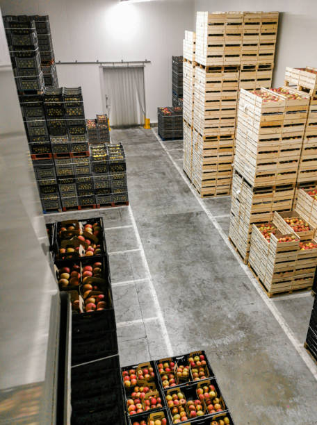 istock Pallets with packed fruit ready to be shipped refrigerated with low temperature 1410692871