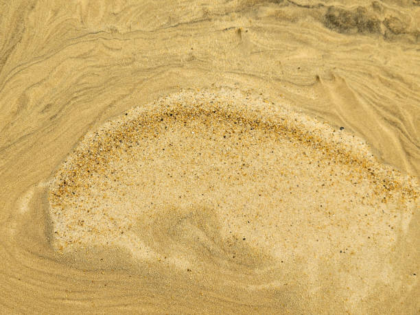 istock the texture of sand from wind in the Outer Banks 1410698101