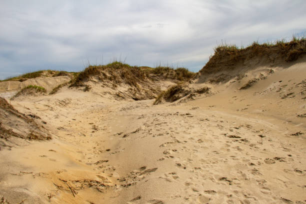 istock sand dunes at the beach in the Outer Banks, North Carolina 1410698718