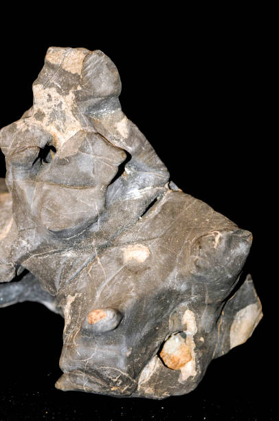 istock Limestone Nodule Unusual Rock Right 1410701674
