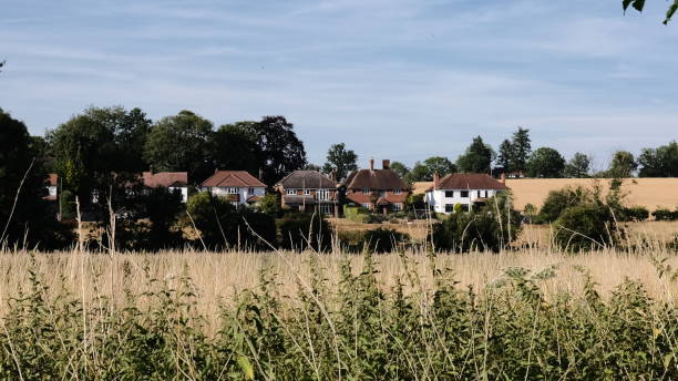 istock Row of houses 1410702398