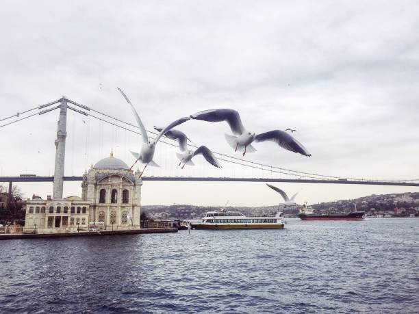 crucero por el río bósforo - ortakoy mosque bridge bosphorus istanbul fotografías e imágenes de stock