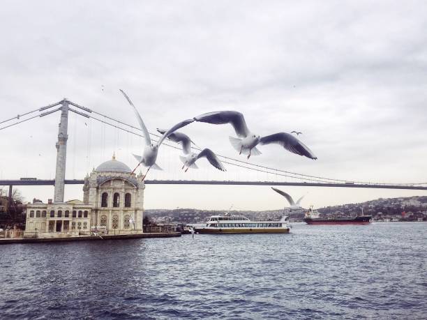 보스포러스의 강 크루즈 - ortakoy mosque bridge bosphorus istanbul 뉴스 사진 이미지