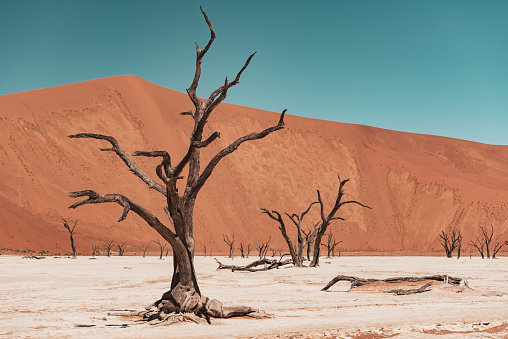 A car is driving through sand dunes