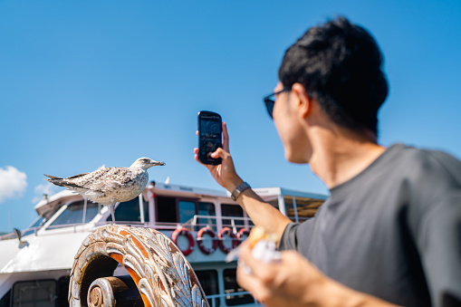 A male tourist is taking photos of a seagull with a smart phone during his travel.