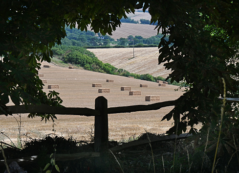 Straw bales on the South Downs in the English countryside framed in silhouette
