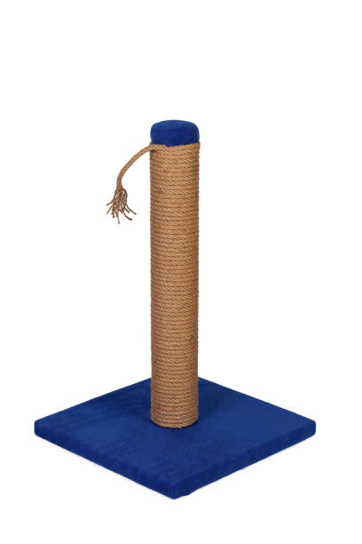istock cat house and cat toy 1410709109