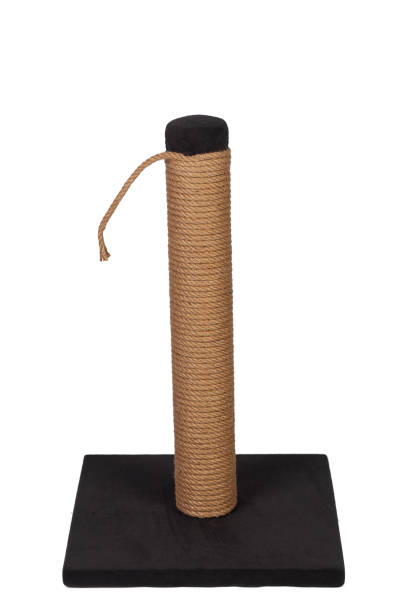 istock cat house and cat toy 1410709110
