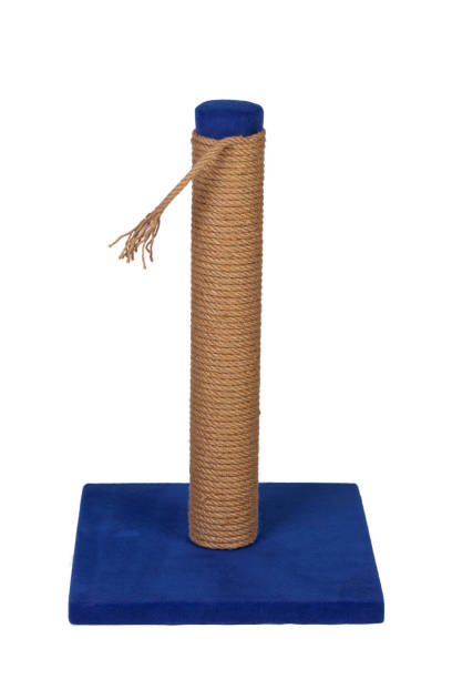 istock cat house and cat toy 1410709133