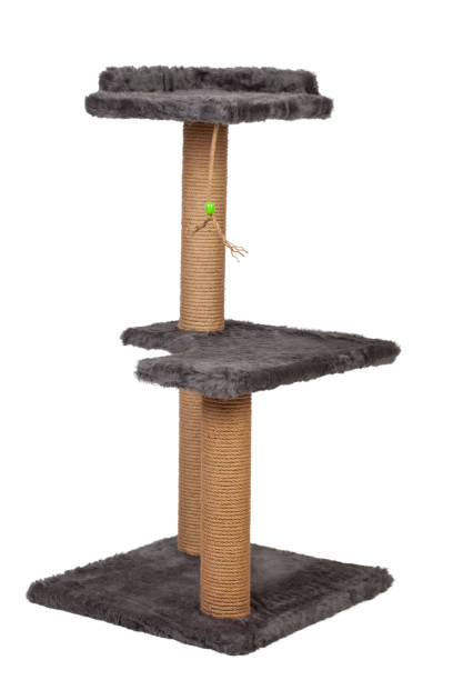 istock cat house and cat toy 1410709194