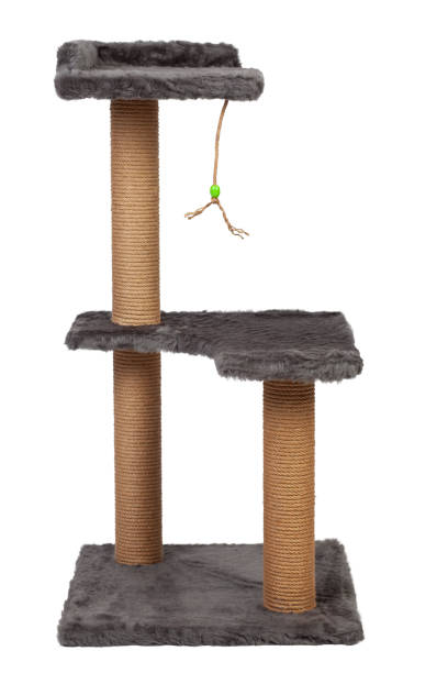 istock cat house and cat toy 1410709212