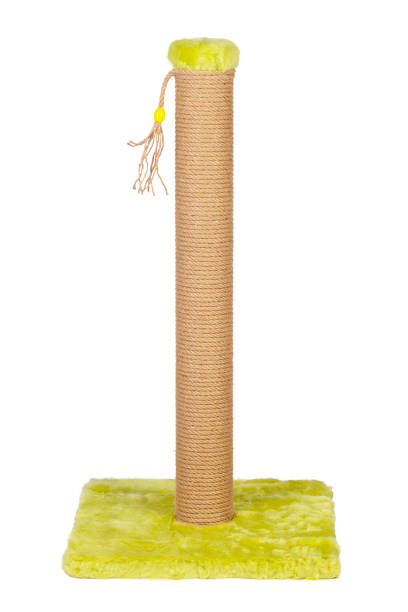 istock cat house and cat toy 1410709873