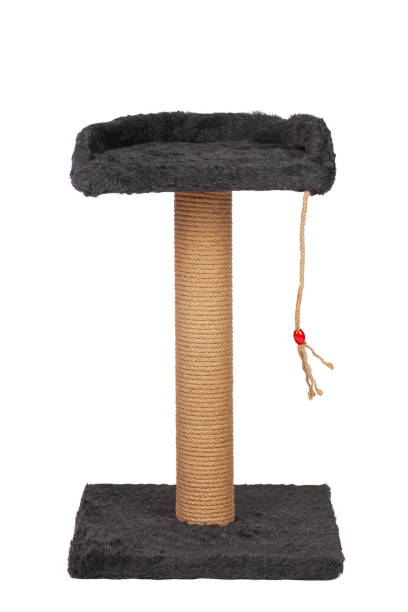 istock cat house and cat toy 1410709966