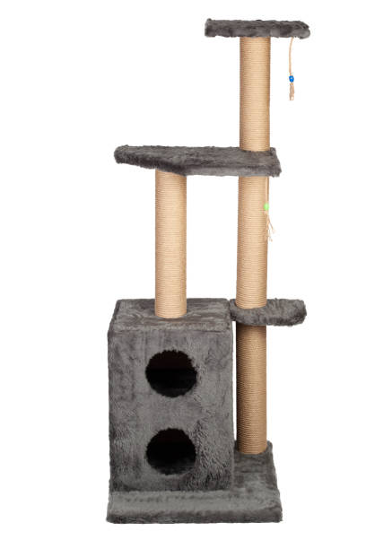 istock cat house and cat toy 1410710015